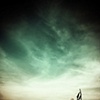 the guardian