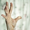 the genetics of a gesture