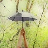 "in the jungle"
