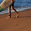 Sunshine Coast, Australia