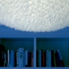 Untitled (Furry Chandelier) #2