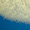 Untitled (Furry Chandelier) #4