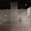 Irrepressible Compulsion (overall view)