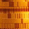 Price Check (detail)