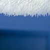 Untitled (Furry Chandelier) #5