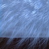 Untitled (Irrepressible Compulsion series) detail
