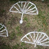 Our lives on the lawn