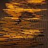 gleaning 2010
