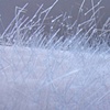 Untitled (Irrepressible Compulsion series) detail