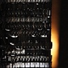Caught on film (detail)
