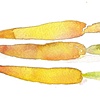 carrots