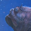 When You Wish Upon a Fish
