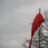 Red Flag/Carpet