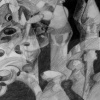 Whirling Dervishes Series