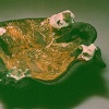 Turkish Plate