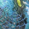 Little tile 