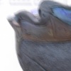 Ottoman Bowl