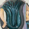 Tulip Series V