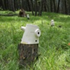 forest view (detail)