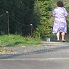 chemin/camino
