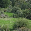 path of water