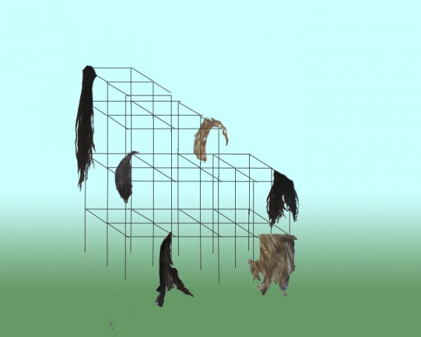 Hair Gym