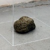 Clump or (He who has the urge)