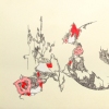 Cassiopeia