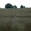 A Challenging Trek