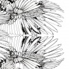 Feather flowerbomb