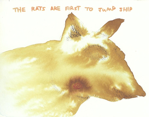 Rat Jump First
