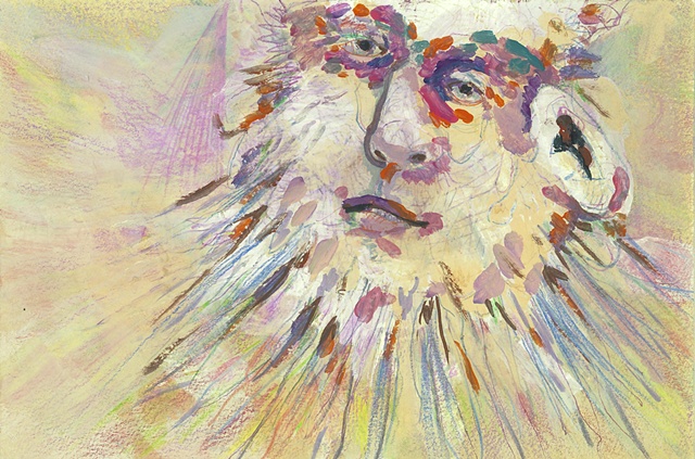 Beard Explosion