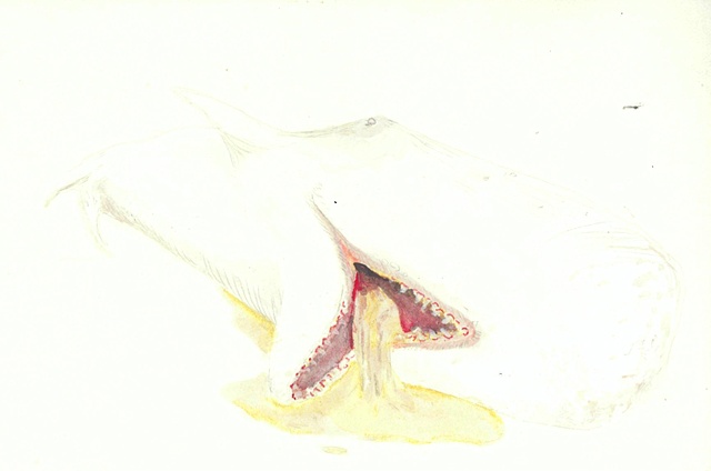 Ambergris