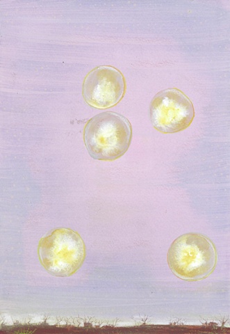 Five Suns