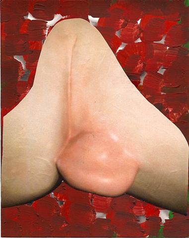 Flesh Riddle