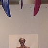 Phillips show 2008