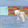 Knut