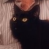 Respect the Cat