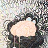 Ayahuasca