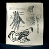 Hands