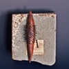 Prickle Pod