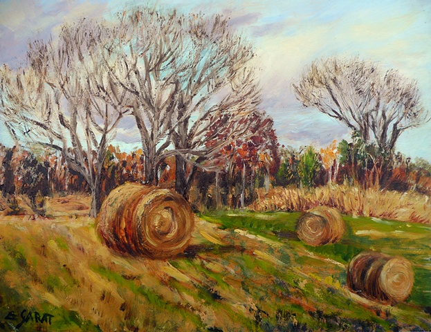 Rolled Hay 