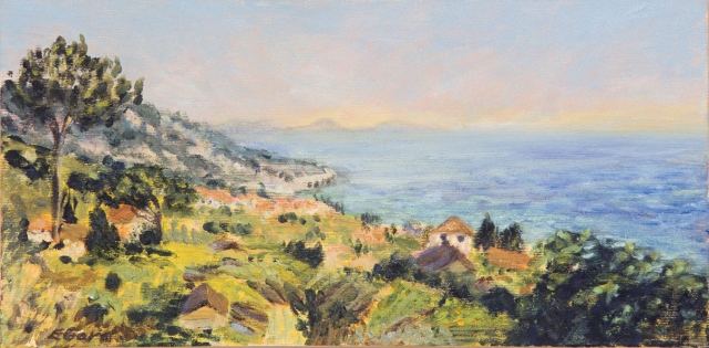 Madeiran Vista 1