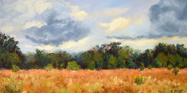 Summer Storm Coming,
Western Tennessee