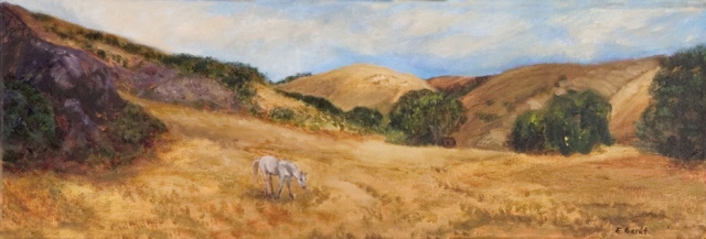 Horse in a Field Near San Simeon, CA