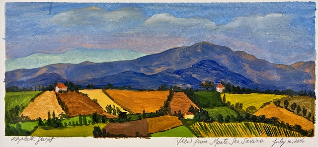 View from Monte San Savino