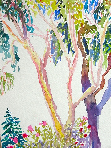 Study of Trees