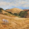 Horse in a Field Near San Simeon, CA