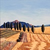 Hay Fields and Cypress Trees