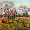 Rolled Hay 